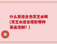 什么茶适合泡灵芝水喝(灵芝水适合搭配哪种茶品泡制？)