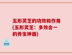 五形灵芝的功效和作用(五形灵芝：多效合一的养生神器)