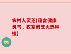 农村人灵芝(蕴含健康灵气，农家灵芝火热种植)