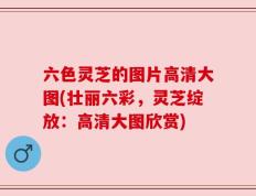 六色灵芝的图片高清大图(壮丽六彩，灵芝绽放：高清大图欣赏)