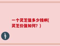 一个灵芝值多少钱啊(灵芝价值如何？)