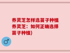 养灵芝怎样选苗子种植养灵芝：如何正确选择苗子种植)