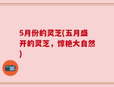 5月份的灵芝(五月盛开的灵芝，惊艳大自然)
