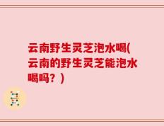 云南野生灵芝泡水喝(云南的野生灵芝能泡水喝吗？)