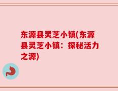 东源县灵芝小镇(东源县灵芝小镇：探秘活力之源)
