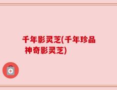 千年影灵芝(千年珍品 神奇影灵芝)