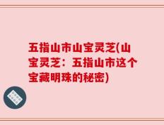 五指山市山宝灵芝(山宝灵芝：五指山市这个宝藏明珠的秘密)