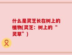 什么是灵芝长在树上的植物(灵芝：树上的“灵草”)