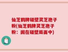 仙芝鹤牌碰壁灵芝孢子粉(仙芝鹤牌灵芝孢子粉：困在碰壁局面中)