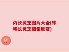 内长灵芝图片大全(珍稀长灵芝图集欣赏)