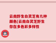 云南野生白灵芝有几种颜色(云南白灵芝野生存在多色彩多样性
