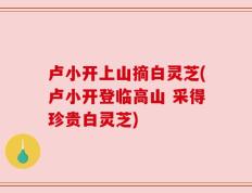 卢小开上山摘白灵芝(卢小开登临高山 采得珍贵白灵芝)