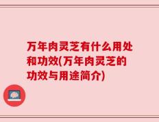 万年肉灵芝有什么用处和功效(万年肉灵芝的功效与用途简介)