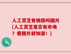 人工灵芝有销路吗图片(人工灵芝是否有市场？看图片就知道！)