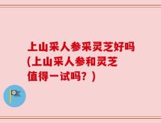 上山采人参采灵芝好吗(上山采人参和灵芝 值得一试吗？)