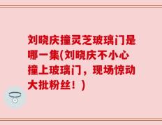 刘晓庆撞灵芝玻璃门是哪一集(刘晓庆不小心撞上玻璃门，现场惊动大批粉丝！)