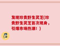 发现珍贵野生灵芝(珍贵野生灵芝首次现身，引爆市场热潮！)