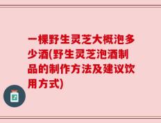 一棵野生灵芝大概泡多少酒(野生灵芝泡酒制品的制作方法及建议饮用方式)
