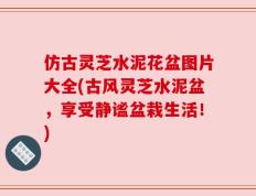 仿古灵芝水泥花盆图片大全(古风灵芝水泥盆，享受静谧盆栽生活！)