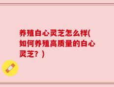 养殖白心灵芝怎么样(如何养殖高质量的白心灵芝？)