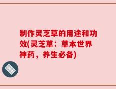 制作灵芝草的用途和功效(灵芝草：草本世界神药，养生必备)