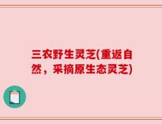 三农野生灵芝(重返自然，采摘原生态灵芝)