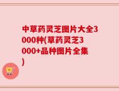 中草药灵芝图片大全3000种(草药灵芝3000+品种图片全集)