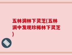 五林洞林下灵芝(五林洞中发现珍稀林下灵芝)
