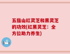 五指山红灵芝和黑灵芝的功效(红黑灵芝：全方位助力养生)