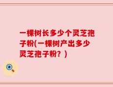 一棵树长多少个灵芝孢子粉(一棵树产出多少灵芝孢子粉？)