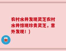 农村水井发现灵芝农村水井惊现珍贵灵芝，意外发现！)