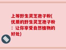 上等野生灵芝孢子粉(优质的野生灵芝孢子粉：让你享受自然植物的好处)