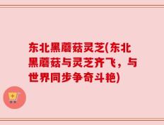 东北黑蘑菇灵芝(东北黑蘑菇与灵芝齐飞，与世界同步争奇斗艳)