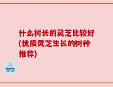 什么树长的灵芝比较好(优质灵芝生长的树种推荐)