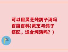 可以用灵芝炖鸽子汤吗百度百科(灵芝与鸽子搭配，适合炖汤吗？)