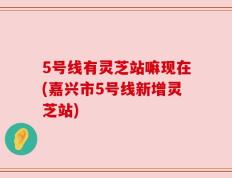5号线有灵芝站嘛现在(嘉兴市5号线新增灵芝站)