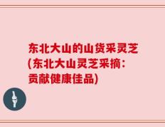 东北大山的山货采灵芝(东北大山灵芝采摘：贡献健康佳品)