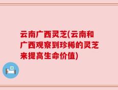 云南广西灵芝(云南和广西观察到珍稀的灵芝来提高生命价值)