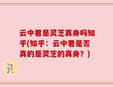 云中君是灵芝真身吗知乎(知乎：云中君是否真的是灵芝的真身？)