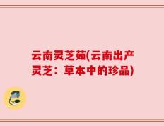 云南灵芝茹(云南出产灵芝：草本中的珍品)
