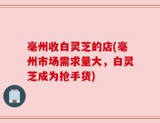 亳州收白灵芝的店(亳州市场需求量大，白灵芝成为抢手货)