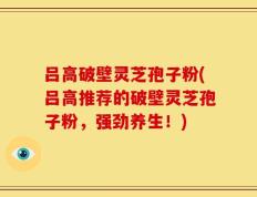 吕高破壁灵芝孢子粉(吕高推荐的破壁灵芝孢子粉，强劲养生！)