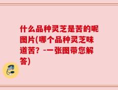 什么品种灵芝是苦的呢图片(哪个品种灵芝味道苦？-一张图带您解答)