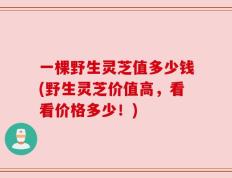 一棵野生灵芝值多少钱(野生灵芝价值高，看看价格多少！)
