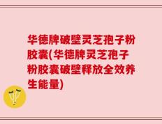 华德牌破壁灵芝孢子粉胶囊(华德牌灵芝孢子粉胶囊破壁释放全效养生能量)