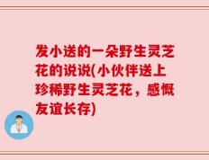 发小送的一朵野生灵芝花的说说(小伙伴送上珍稀野生灵芝花，感慨友谊长存)