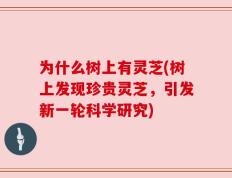 为什么树上有灵芝(树上发现珍贵灵芝，引发新一轮科学研究)