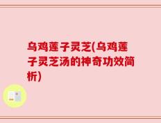 乌鸡莲子灵芝(乌鸡莲子灵芝汤的神奇功效简析)