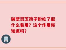 破壁灵芝孢子粉吃了起什么着用？这个作用你知道吗？