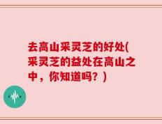 去高山采灵芝的好处(采灵芝的益处在高山之中，你知道吗？)